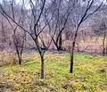 Снимка 4 — Къща в София, Драгалевци