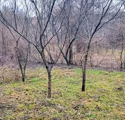 Photo 4 — House in Sofiya, Dragalevci