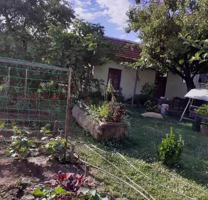Photo 5 — House in Montana, Mala Kutlovica