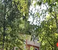 Снимка 2 — Къща в София, Симеоново