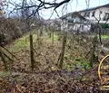 Снимка 4 — Къща в Хасково, в.з. Хасково