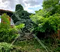 Снимка 4 — Къща в Бургас, с. Приселци
