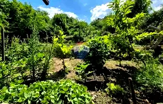 Къща в Добрич, с. Кранево