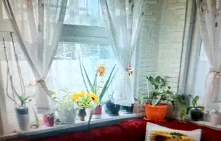 Къща в Добрич, с. Миладиновци