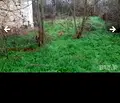 Снимка 3 — Къща в Добрич, с. Одринци