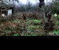 Снимка 5 — Къща в Добрич, с. Одринци
