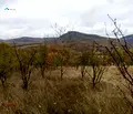Снимка 2 — Къща в Габрово, Дряново