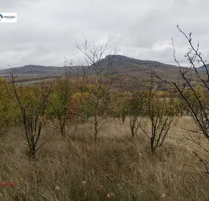 Снимка 2 — Пчелин с функционални постройки в Дряново с панорамна гледка
