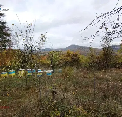 Снимка 3 — Пчелин с функционални постройки в Дряново с панорамна гледка
