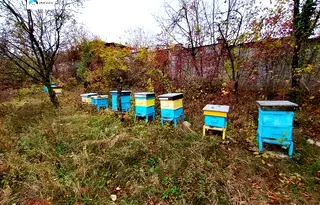 Къща в Габрово, Дряново