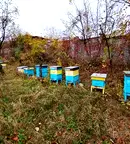 Къща в Габрово, Дряново