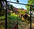Снимка 4 — Къща в Ловеч, с. Баховица