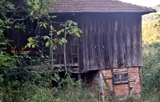 Къща в Ловеч, с. Черни Вит