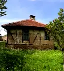 Къща в Ловеч, с. Голяма Желязна