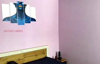 Къща в Плевен, с. Бохот