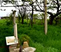 Снимка 4 — Къща в Пловдив, с. Ново Железаре