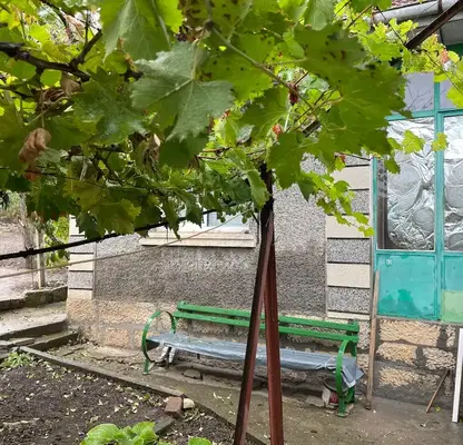 Снимка 4 — Къща в Русе, Две могили