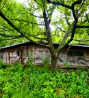 Къща в Русе, с. Бабово