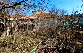 Къща в София, Драгоман