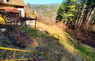 Къща в София, Своге