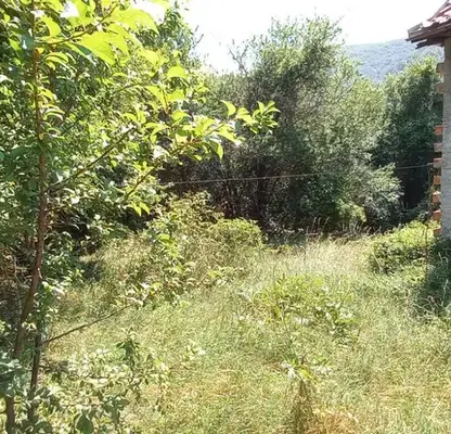 Photo 3 — House in Sofia, Ginci