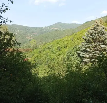 Photo 2 — House in област София, Lukovo