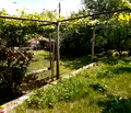 Снимка 4 — Къща в Стара Загора, с. Колю Мариново