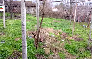 Къща във Варна, Девня