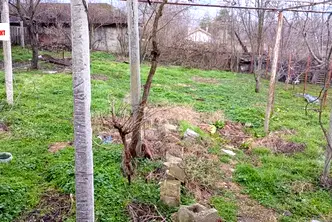 Къща във Варна, Девня