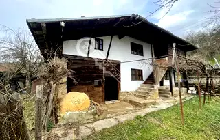 Къща във Велико Търново, Елена