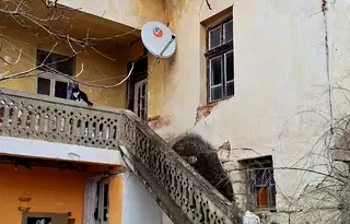 Къща във Враца, с. Ракево