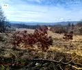 Снимка 2 — Земеделски имот в Ловеч, с. Гумощник