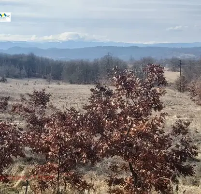 Photo 4 — Agricultural Land in Oblast Lovech, Gumoshtnik