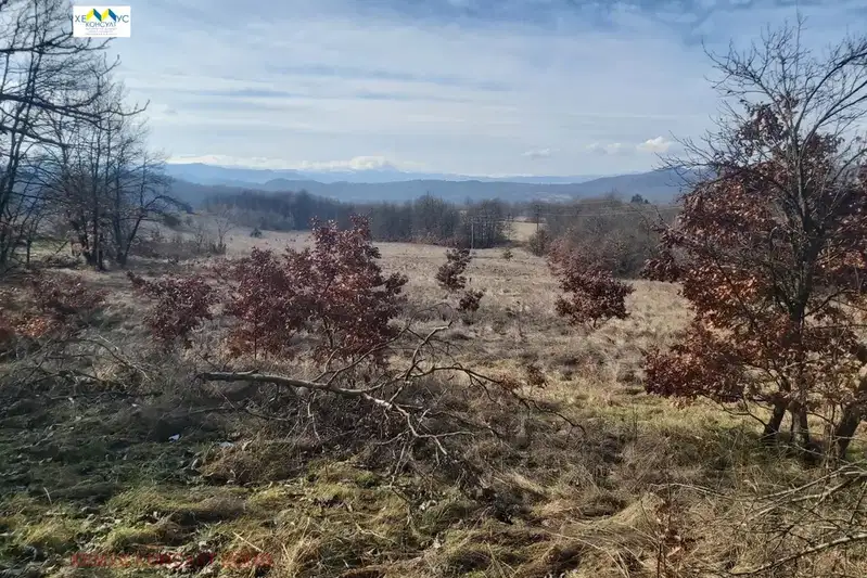 Agricultural Land in Oblast Lovech, Gumoshtnik