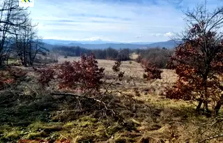 Земеделски имот в Ловеч, с. Гумощник