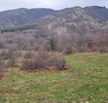 Photo 2 — Agricultural Land in Oblast Plovdiv, Sopot
