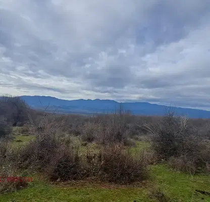 Photo 5 — Agricultural Land in Oblast Plovdiv, Sopot