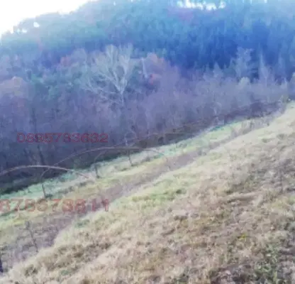 Photo 2 — Agricultural Land in Oblast Smolyan, Злато