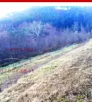 Земеделски имот в Смолян, Злато