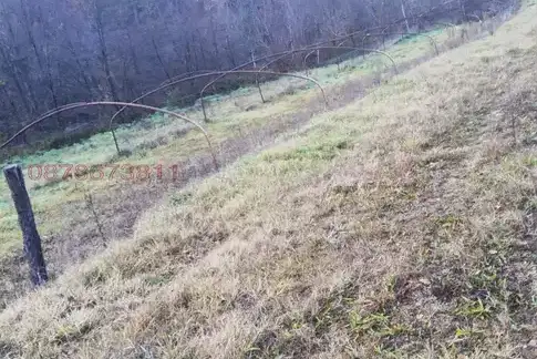 Agricultural Land in Oblast Smolyan, Злато