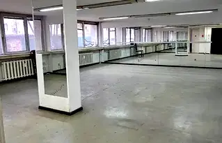 Магазин в София, Белите брези
