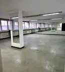 Магазин в София, Белите брези