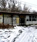 Магазин във Видин, Гео Милев