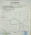 Земеделски имот в Благоевград, Банско