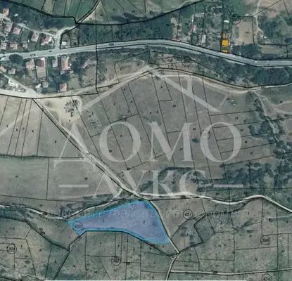 Photo 4 — Agricultural Land in Oblast Blagoevgrad, Simitli