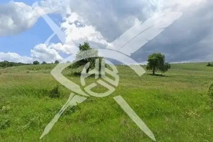 Agricultural Land in Oblast Burgas, Planinica
