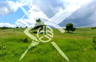 Земеделски имот в Бургас, с. Планиница