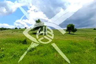 Земеделски имот в Бургас, с. Планиница