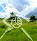 Земеделски имот в Бургас, с. Планиница