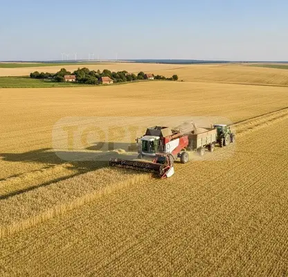 Photo 2 — Agricultural Land in Oblast Dobrich, Cyrkva